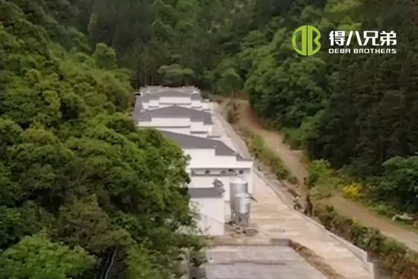 ãVloeibaar voersysteemãAnhui Huangshan 400 zeugenboerderij