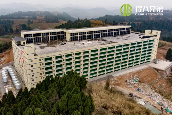 ãMulti Storey projectãSichuan Qiquan groep 10000 zeugen boerderij