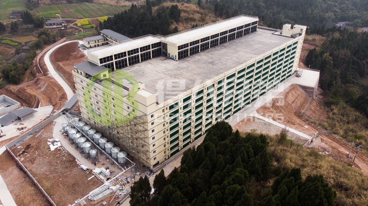 Hoe de milieukwaliteit in het moderne ontwerp van varkenshouderijen kan worden verbeterd