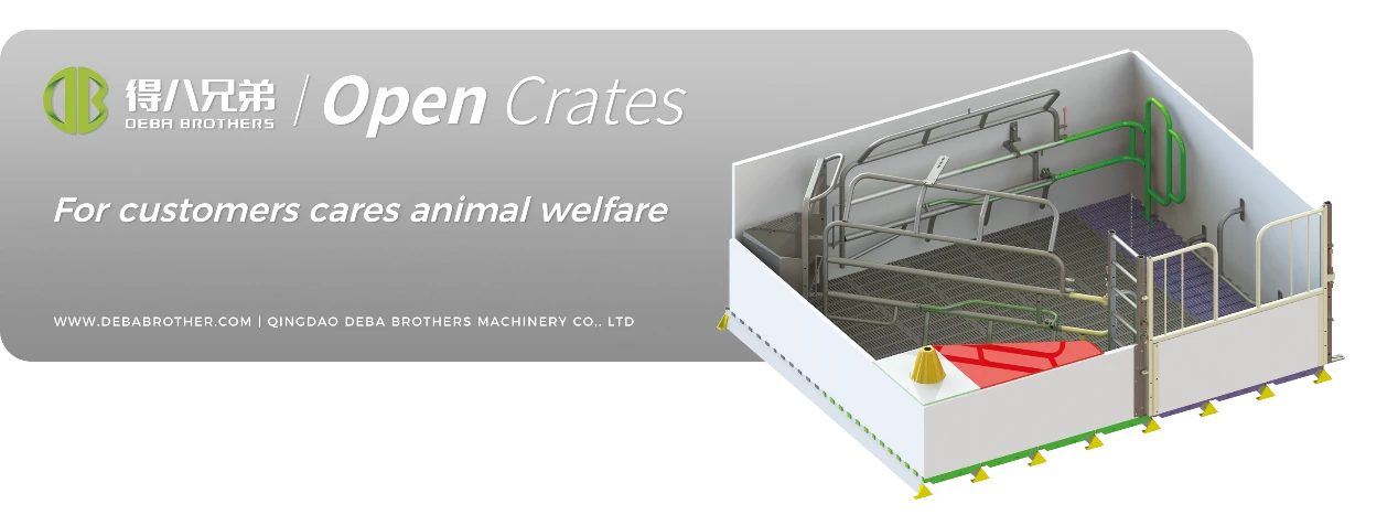 Het open zeugenbed van DEBA Brothers wordt wereldwijd erkend vanwege het gebruiksvriendelijke ontwerp