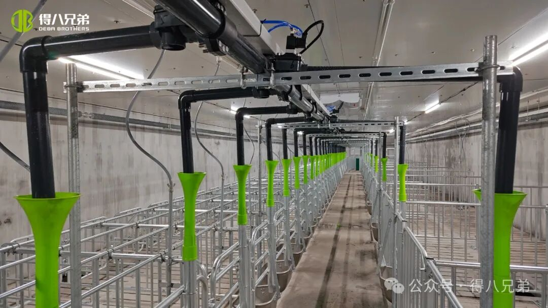 Deba Brother Licha Demonstratiebasis voor fokken en kweken van zwarte varkens - Geïntegreerde activiteiten van 2.000 zeugen, 50.000 jaarlijkse slachtingen, 67.000 vierkante meter