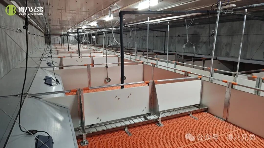 Preventie en beheer van hittestress op varkenshouderijen tijdens warm weer